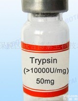 <em>阿拉伯</em><em>树胶</em>，<em>阿拉伯</em><em>树胶</em>