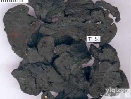 <em>熟地黄</em><em>提取物</em>