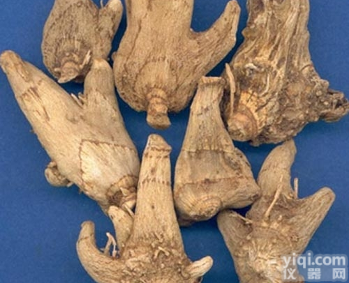 <em>白芨提取物</em>