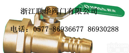 黄铜锻压煤<em>气阀</em>内牙DN15-电动球阀-<em>联华</em>阀门