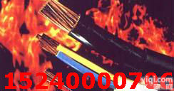 ◎NH-VV电缆|NH-FF电缆◎厂家【现货直销】质优价廉|<em>欢迎来电洽谈</em>