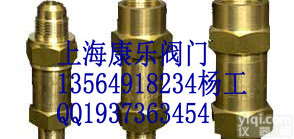 SDA-22C300T<em>型系列</em>冷冻<em>安全</em>阀