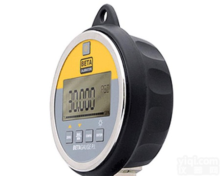 BETA PI<em>精密</em><em>数字</em><em>压力表</em>，<em>数字</em>压力显示表，<em>精密</em><em>数字</em><em>压力表</em>