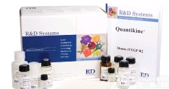 人<em>白介素</em>2<em>受体</em>(IL-2R)ELISA <em>试剂盒</em>  价格