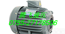 台湾群策<em>卧式</em>长嘴<em>电机</em>，进口群策<em>电机</em>