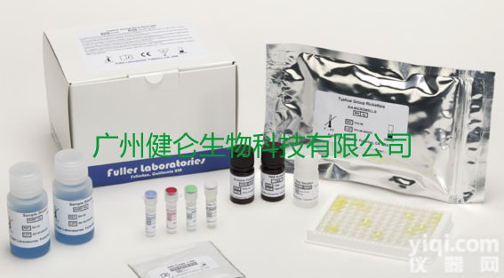 甲型<em>流行性感冒</em>病毒抗原检测试剂盒