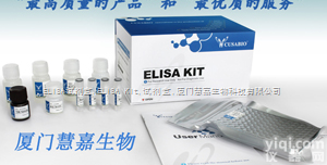 人<em>干扰素</em>调节<em>因子</em>(IRF)ELISA试剂盒 <em>干扰素</em>调节<em>因子</em>ELISA试剂盒