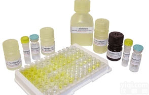 现货代测人肿瘤坏死因子可溶性受体ⅠELISA价格,人TNFsR-Ⅰ ELISA<em>试剂盒</em>供应商<em>报价</em>北京