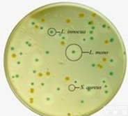 <em>链球菌</em>疫苗<em>培养基</em> <em>链球菌</em>疫苗<em>培养基</em>价格