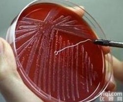 LS<em>培养基</em>（不含蔗糖和<em>琼脂</em>） LS<em>培养基</em>（不含蔗糖和<em>琼脂</em>价格