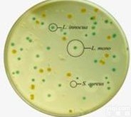 大肠<em>杆菌</em>IMVC<em>生化</em>鉴定套装（GB、SN） 大肠<em>杆菌</em>IMVC<em>生化</em>鉴定套装（GB、SN）价格