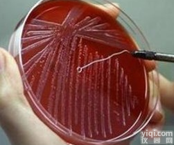 3%NaCl<em>赖氨酸</em><em>脱羧酶</em><em>试验</em> 3%NaCl<em>赖氨酸</em><em>脱羧酶</em><em>试验</em>价格