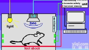 <em>ZH-KJ型场景恐惧实验系统</em>