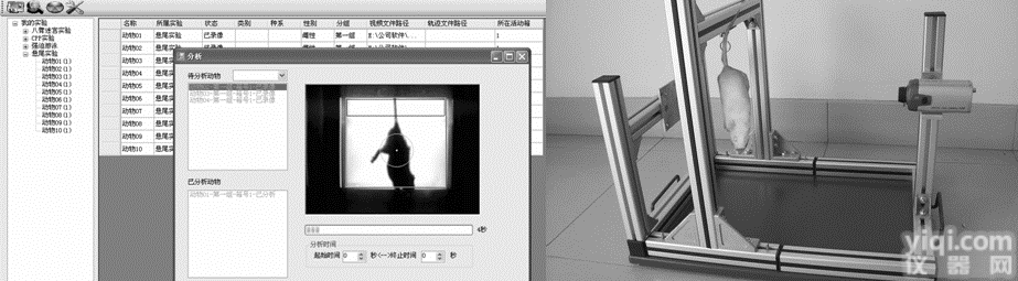 ZH-XWT型<em>悬尾实验</em>视频分析<em>系统</em>
