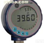 GE<em>德鲁克</em>数字<em>压力表</em>DPI104