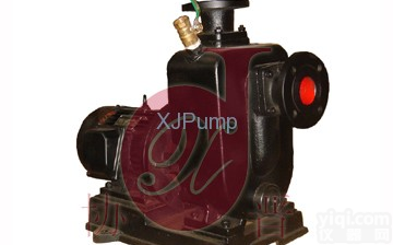 <em>ZXL直联式自吸泵</em>