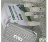 现货热卖，大鼠<em>ELISA</em> Kit，Ⅲ型<em>胶原</em>(Col Ⅲ)<em>ELISA</em> \免费代测\试剂盒