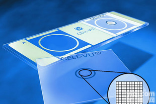 <em>血球</em><em>计数板</em>,<em>血球</em><em>计数板</em>厂家