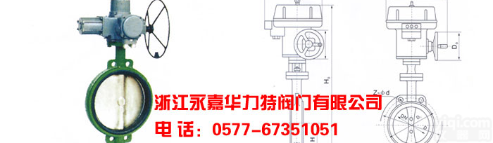 法兰式真空蝶阀 不锈钢<em>球阀</em>-华<em>力特</em>阀门