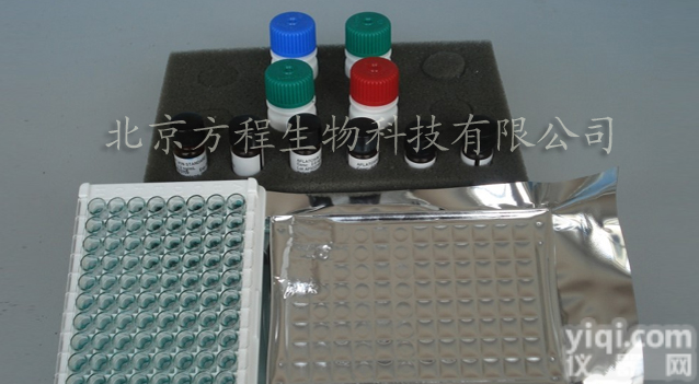 ELISA代测 <em>北京</em>人蜗牛<em>同源</em>物2(SNAI2)ELISA检测试剂盒价格