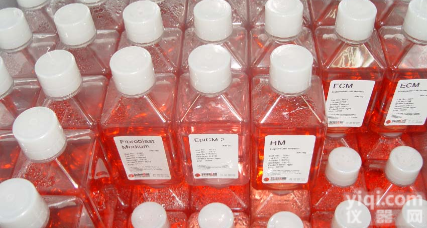 <em>骨骼肌</em>细胞<em>培养基</em>