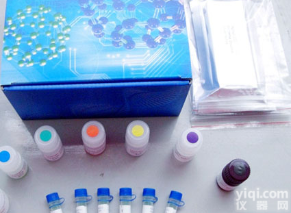 人<em>布鲁氏菌</em>抗体IgG <em>ELISA</em>代测,人Brucella Ab IgG <em>ELISA</em>检测<em>试剂盒</em>价格 北京
