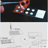 EMS<em>细胞</em>微<em>阵列</em><em>芯片</em> Film-WellT for Cell Based Microarrays