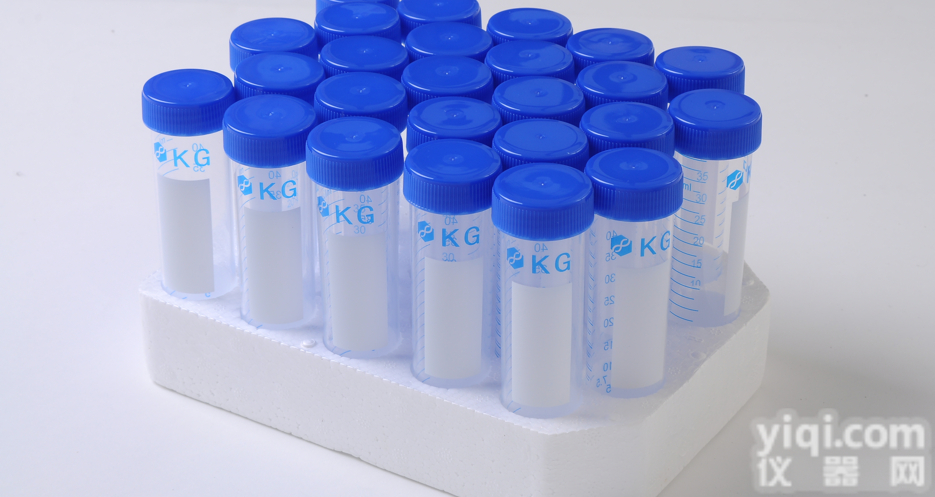 7WPS1<em>细胞</em>，人APP-PS1双基因<em>转染</em>CHO<em>细胞</em>株