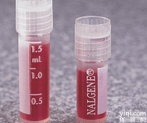 兔抗人DNA<em>依赖性</em>ATP酶<em>抗体</em> P3572Rb-h