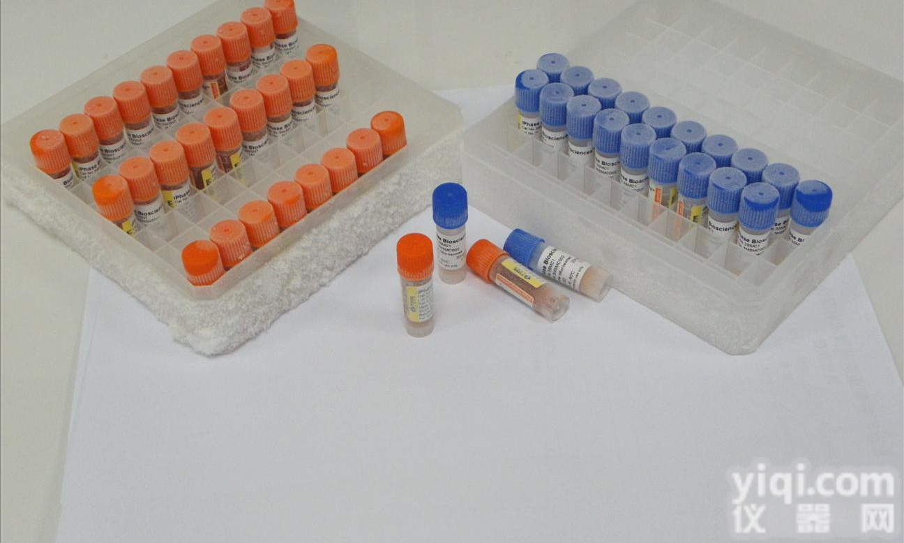 Walker-256细胞，大鼠肝<em>癌细胞</em>（乳腺<em>癌细胞</em>接种到肝脏成瘤），