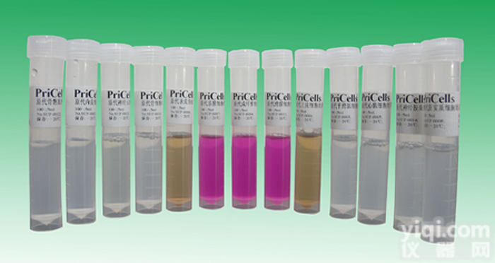 JEG-3/VP16-IL-2细胞，白介素-2<em>转染</em>耐VP16绒<em>癌细胞</em>