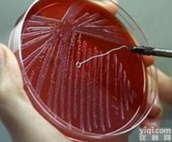 <em>溴甲酚紫葡萄糖蛋白胨水培养基 溴甲酚紫葡萄糖蛋白胨水培养基</em>价格