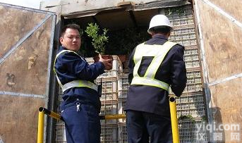 <em>便携式绿色通道检测仪厂家</em>直销