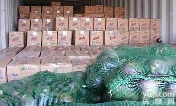 <em>绿色通道</em>偷逃路费<em>检测设备</em>销售