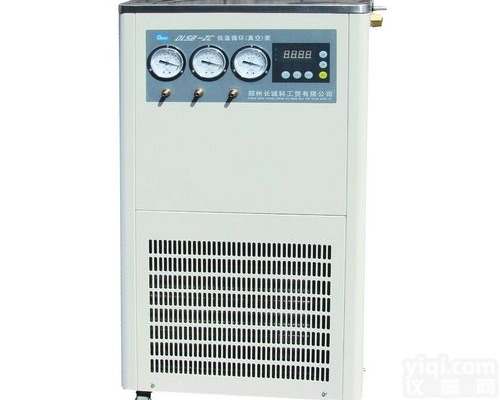 DLSB-ZC低温循环真空泵 低温真空一体