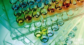 <em>人癌胚抗原Elisa试剂盒，CEA/CD66试剂盒</em>