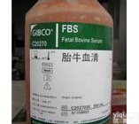 Gibco胎牛<em>血清</em>，C2027050<em>乌拉圭</em><em>血清</em>，Gibco<em>血清</em>