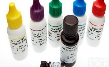 <em>白介素</em>4(大、<em>小鼠</em>)链<em>抗体</em>