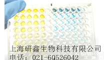 上海  人<em>心肌</em><em>转录</em><em>因子</em>（GATA4）ELISA Kit   产品