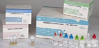 人抗<em>核糖体</em>P蛋白<em>抗体</em>Elisa<em>试剂盒</em>，ARPA/Rib-P<em>试剂盒</em>