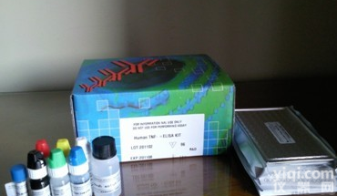 人胃泌素<em>Elisa</em><em>试剂盒</em>，<em>Gastrin</em><em>试剂盒</em>