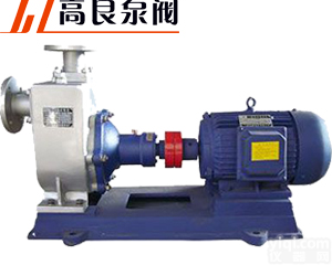 ZXP型<em>不锈钢</em>自吸泵_厂家_价格_<em>不锈钢</em>_配件_<em>安装</em>