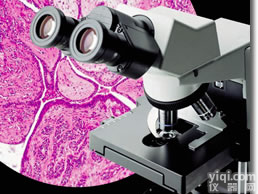 进口奥林巴斯双目（三）<em>生物</em>显微镜,YL观察用<em>生物</em>显微镜<em>使用方法</em>