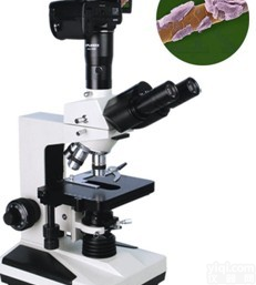 三目<em>生物</em>显微镜,数码生数物显微镜,实验<em>生物</em>显微镜<em>使用方法</em>