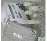 <em>小鼠</em>T细胞活化连接<em>蛋白</em>ELISA<em>试剂盒</em>北京，<em>小鼠</em>（LAT） 免费代测