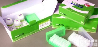 大鼠<em>促性腺激素释放激素Elisa试剂盒，GnRH试剂盒</em>