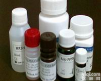 Anti-phospho-c-kit/SCFR/CD117<em>打折</em>,抗<em>磷酸化</em>原癌基因