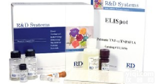 <em>豚鼠</em>单核细胞<em>趋化</em>蛋白4Elisa<em>试剂盒</em>，MCP-4/CCL13<em>试剂盒</em>