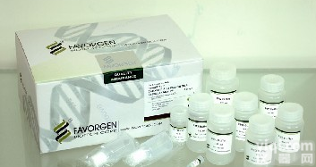 <em>小鼠</em>B<em>因子</em>Elisa<em>试剂盒</em>，BF<em>试剂盒</em>