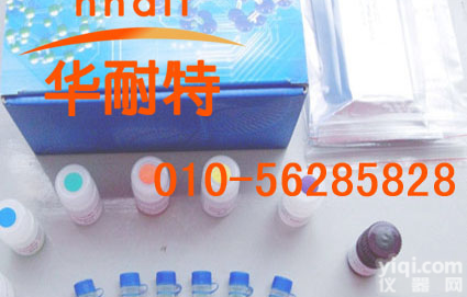 人<em>胃泌素</em>（Gas）ELISA<em>试剂盒</em>代测 人Gas ELISA<em>试剂盒</em>
